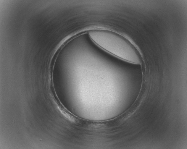 X0000081350837200701111104