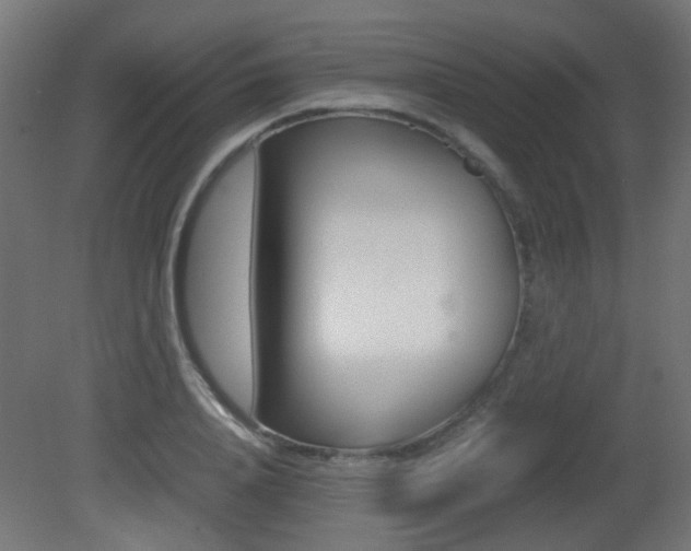 X0000081350840200701111104