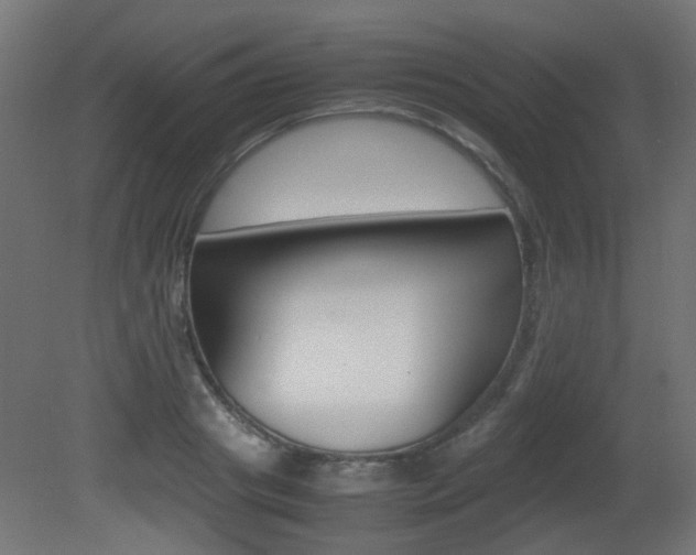 X0000081350841200701111104