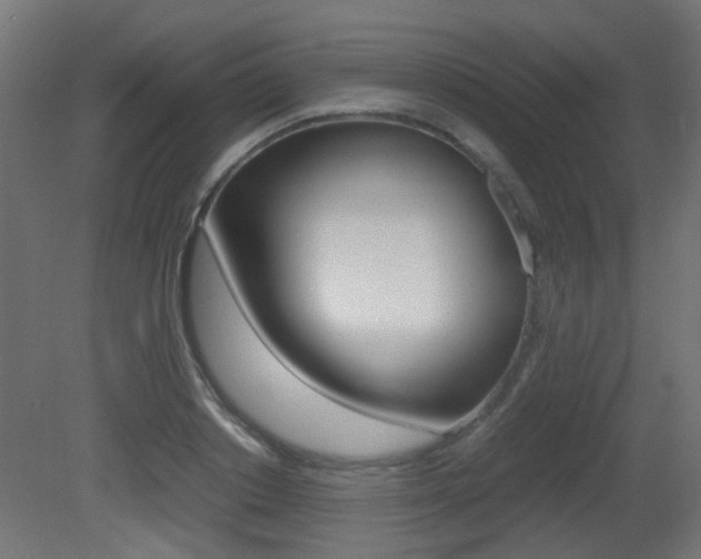 X0000081350842200701111104