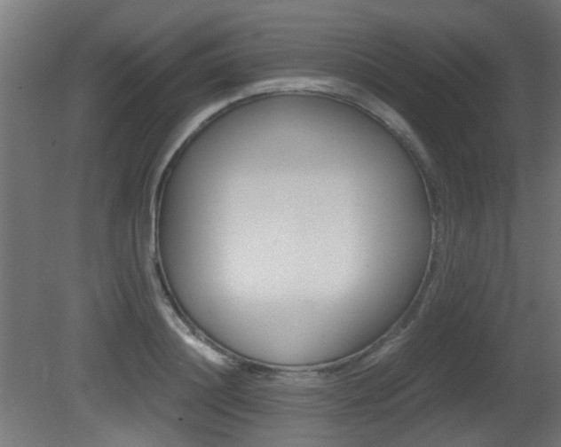 X0000081350844200701111104