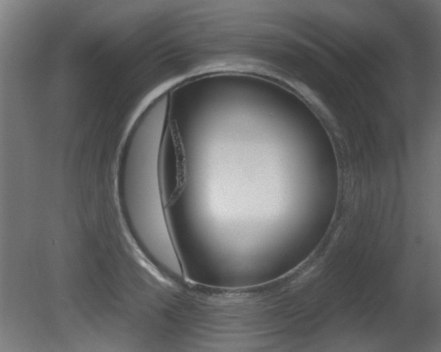 X0000081350846200701111104