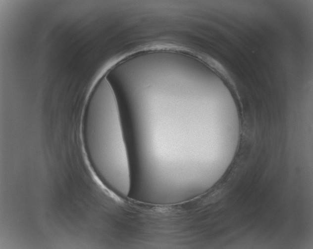 X0000081350847200701111104