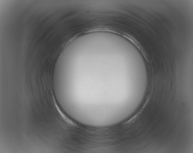 X0000081350849200701111104
