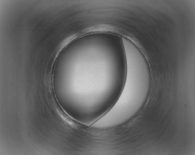 X0000081350850200701111104