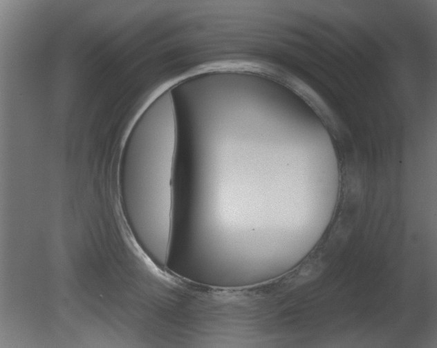 X0000081350852200701111104