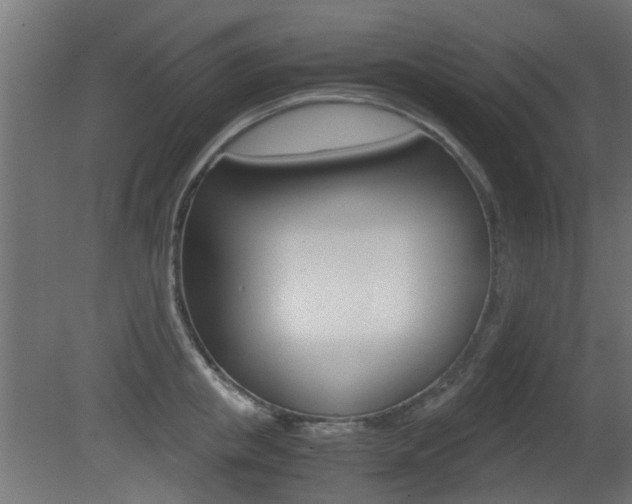 X0000081350853200701111104