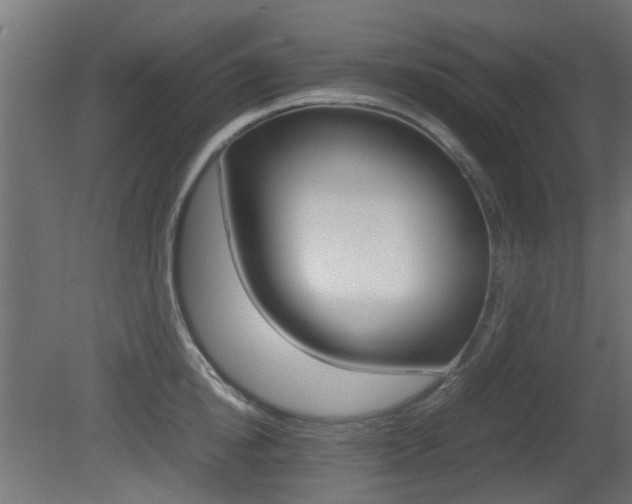 X0000081350854200701111104