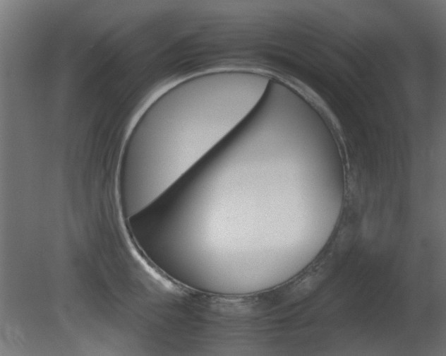 X0000081350855200701111104