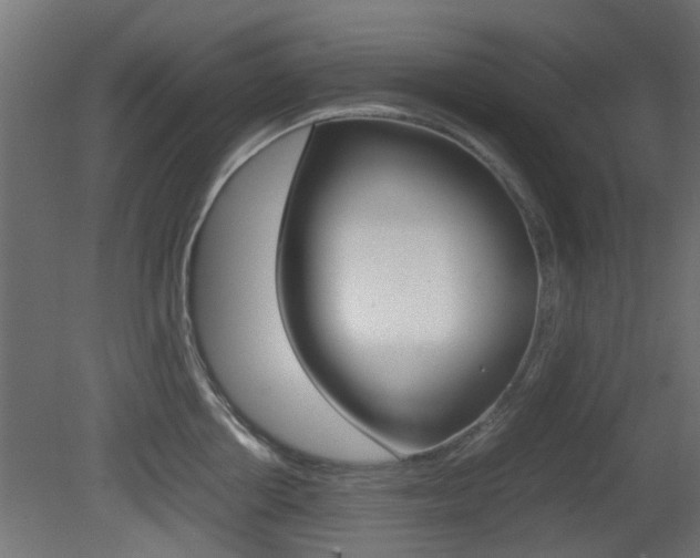 X0000081350858200701111104