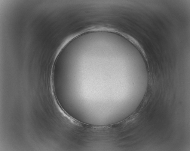 X0000081350863200701111104