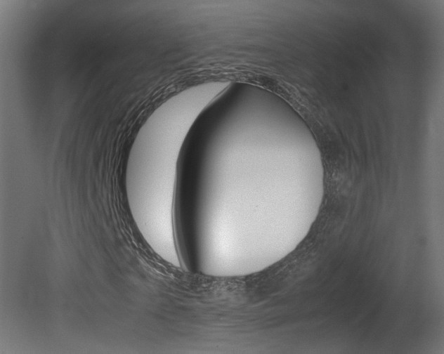 X0000081350865200701111103