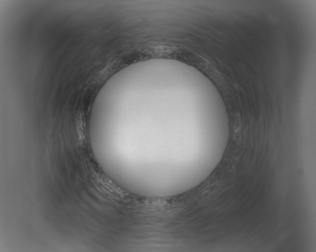 X0000081350866200701111103