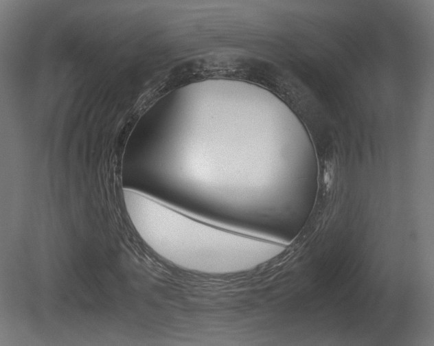 X0000081350867200701111103