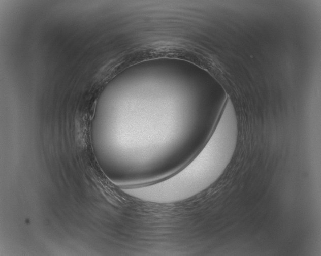 X0000081350868200701111103