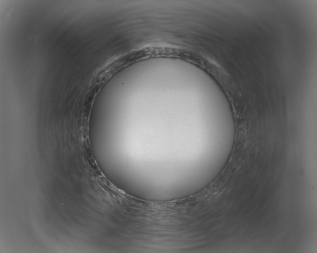 X0000081350870200701111103