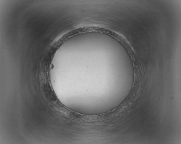 X0000081350871200701111103