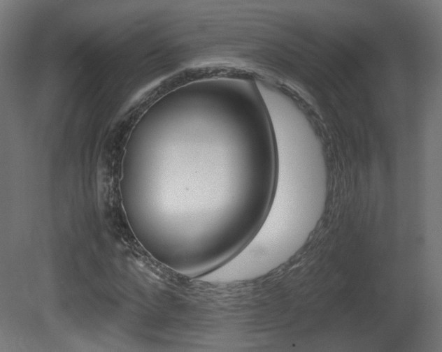 X0000081350872200701111103