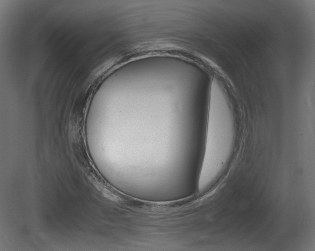 X0000081350873200701111103