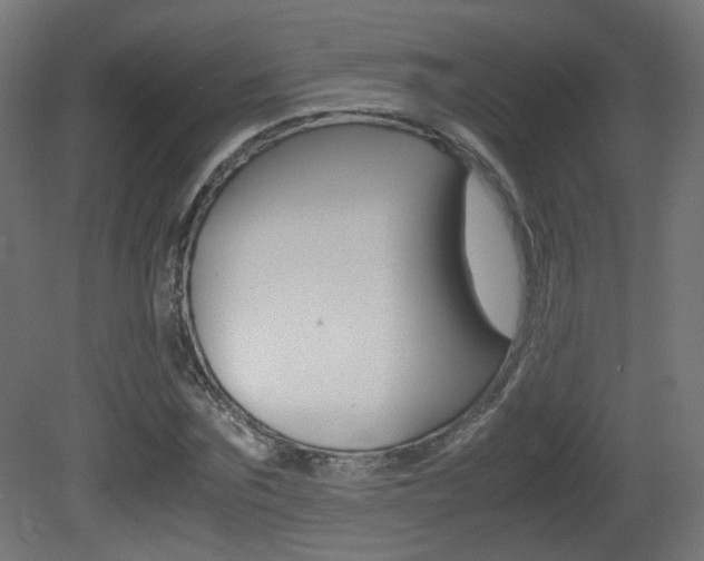X0000081350875200701111103