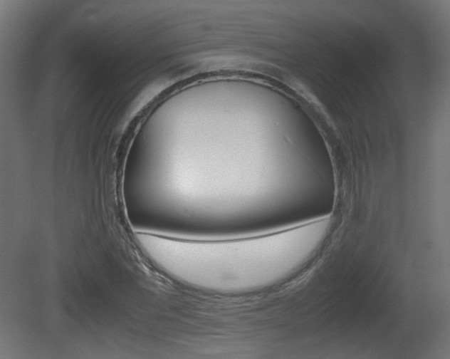 X0000081350877200701111103