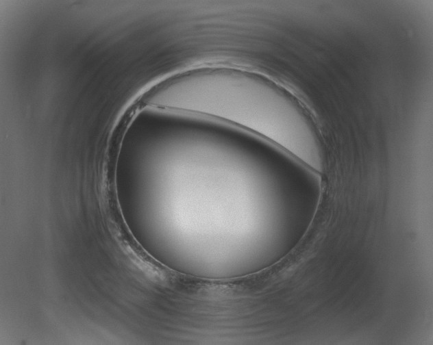 X0000081350880200701111103
