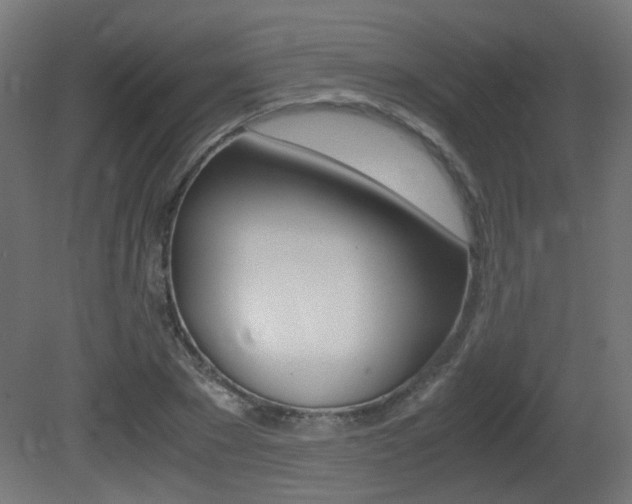 X0000081350881200701111103
