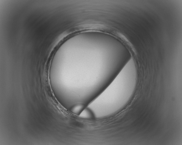 X0000081350883200701111103
