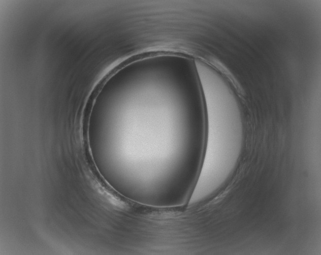 X0000081350884200701111103
