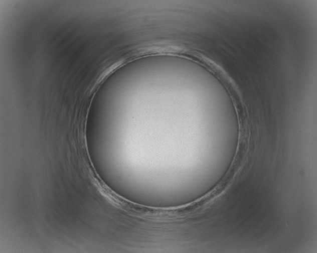 X0000081350889200701111103