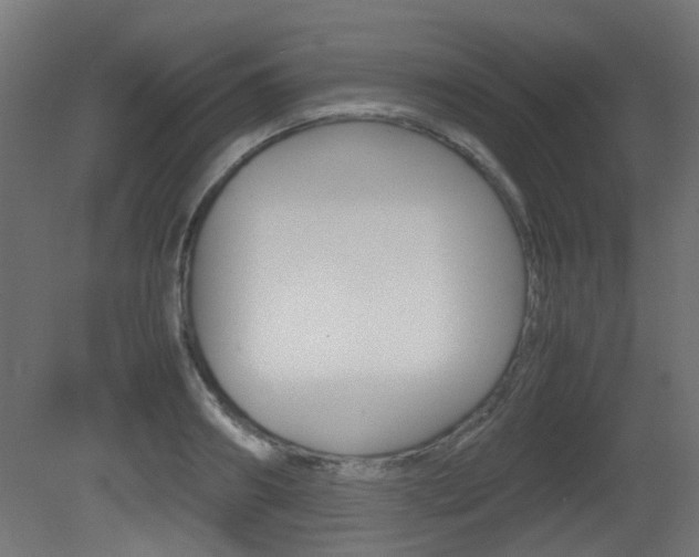 X0000081350890200701111103