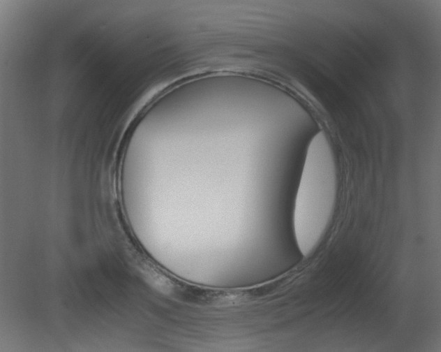 X0000081350891200701111103