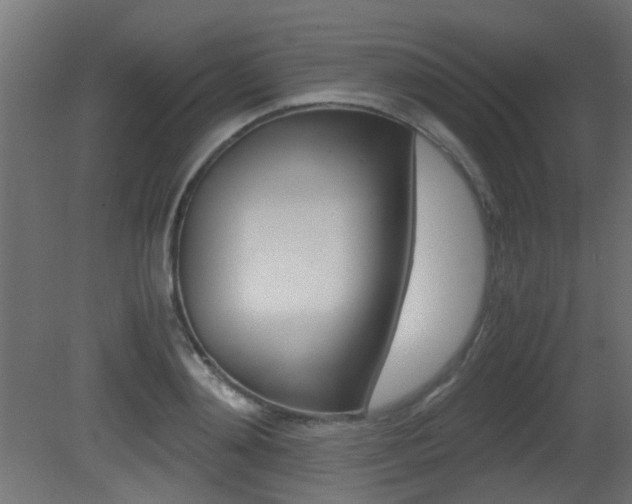 X0000081350892200701111103