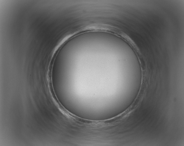 X0000081350893200701111103