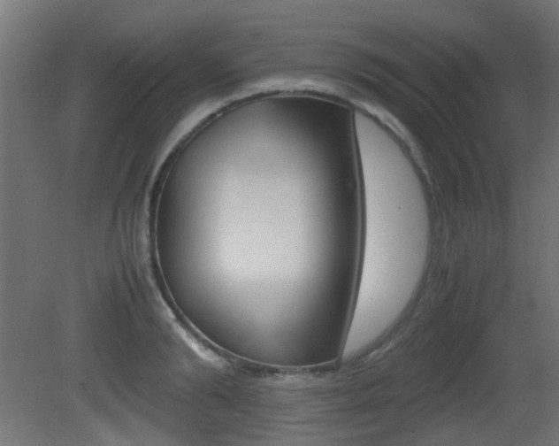 X0000081350894200701111103