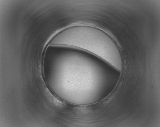 X0000081350896200701111103