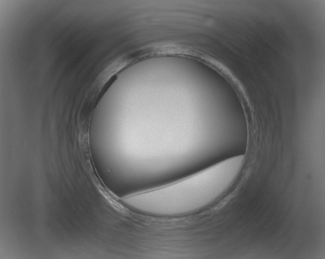 X0000081350897200701111103