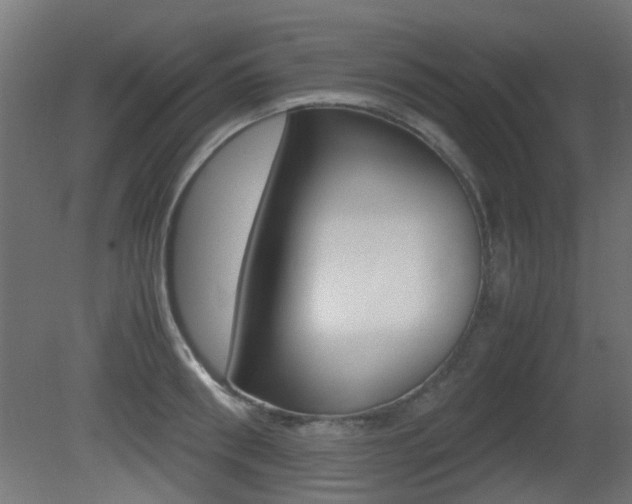 X0000081350898200701111103