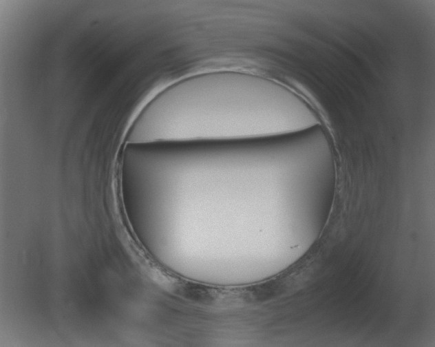 X0000081350899200701111103
