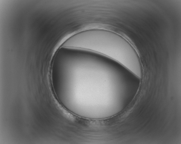 X0000081350901200701111103