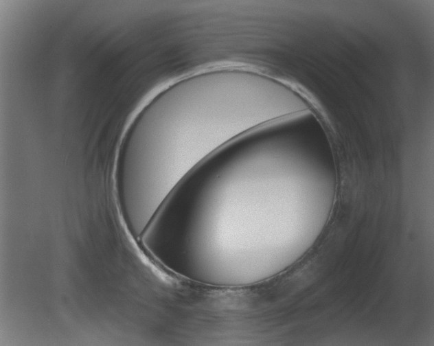 X0000081350902200701111103