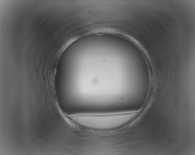 X0000081350905200701111103
