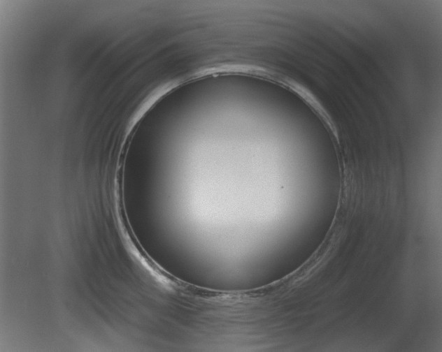 X0000081350906200701111103