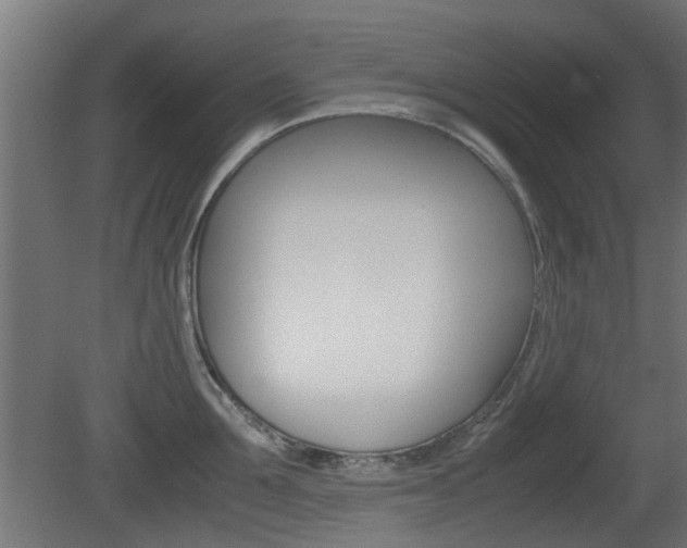 X0000081350907200701111103