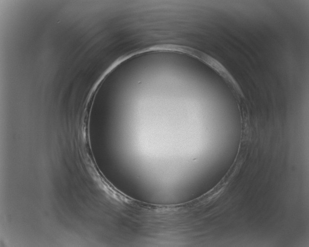 X0000081350908200701111103