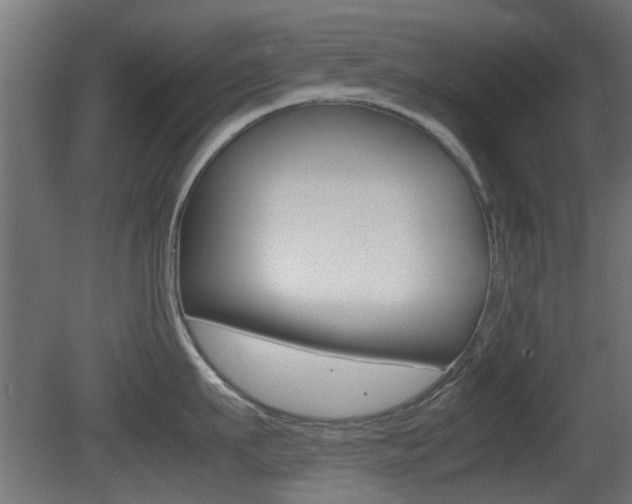 X0000081350911200701111103