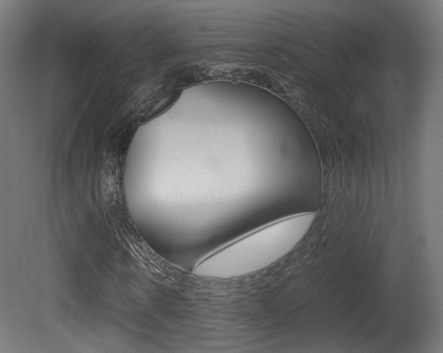 X0000081350914200701111102