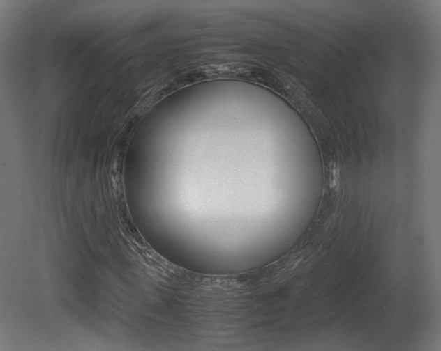 X0000081350915200701111102
