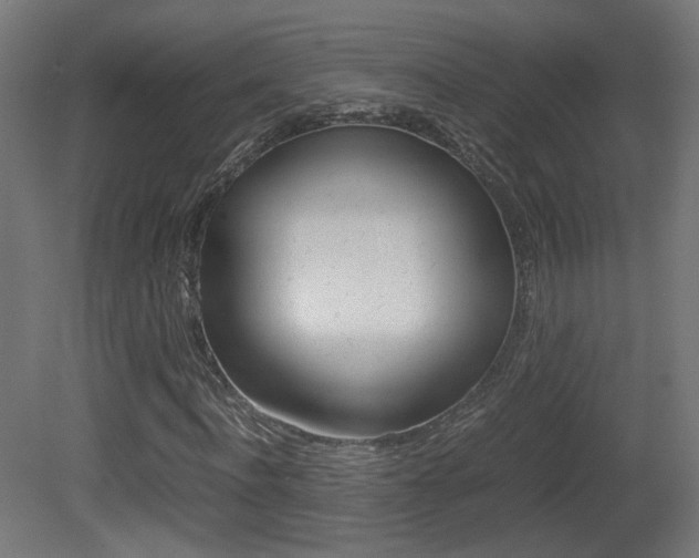 X0000081350916200701111102