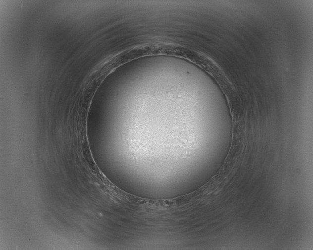 X0000081350919200701111102
